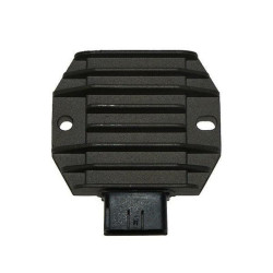 Regulador ELECTROSPORT