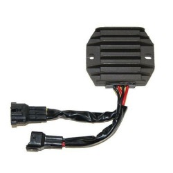 Regulador ELECTROSPORT - Polaris