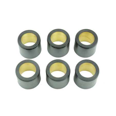 Rodillos de variador ATHENA 25x22,2mm 30gr - 6 pcs