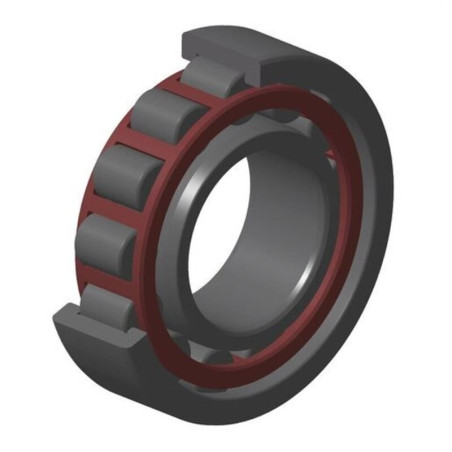 Cojinete del cigüeñal NTN 30x62x16mm