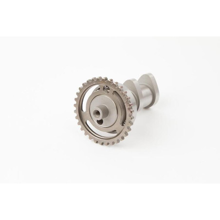 Arbol de levas HOT CAMS ESCAPE - Stage 2 Suzuki RM-Z250