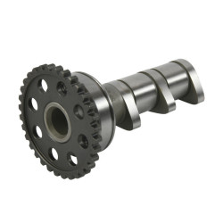 Arbol de levas HOT CAMS - Stage 1 Yamaha YFZ450 2