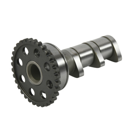 Arbol de levas HOT CAMS - Stage 1 Yamaha YFZ450