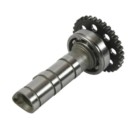 Arbol de levas HOT CAMS - Stage 1 Yamaha YFZ450