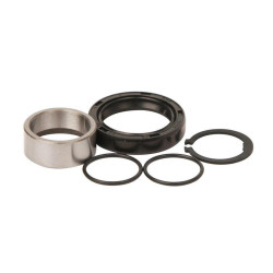 Kit de reparacion piñon de salida HOT RODS Kawasaki KX125