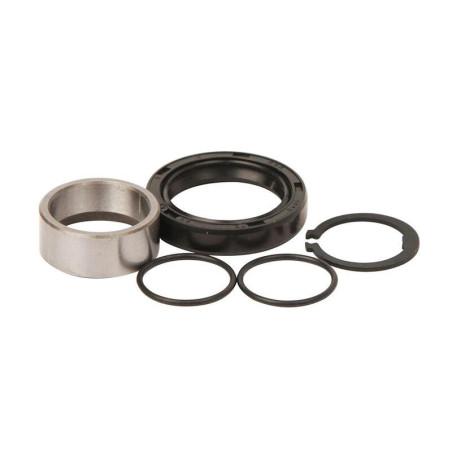 Kit de reparacion piñon de salida HOT RODS Kawasaki KX125