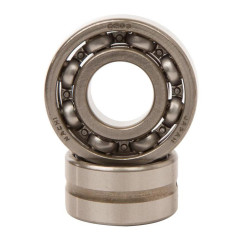 Kit reacondicionamiento eje del balance HOTS RODS Yamaha YZ250F / WR250F