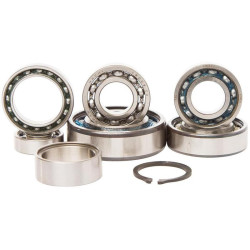 Kit rodamientos transmisión HOT RODS KTM SX125