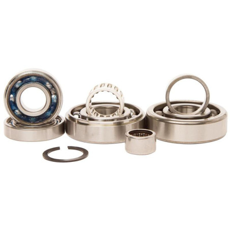 Kit rodamientos transmisión HOT RODS Kawasaki KX250