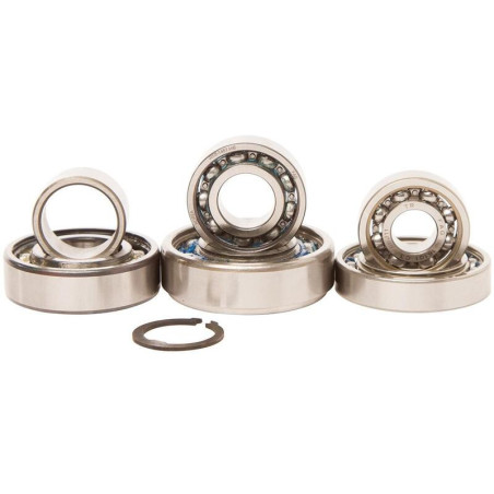 Kit rodamientos transmisión HOT RODS Kawasaki KX85