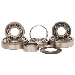 Kit rodamientos transmisión HOT RODS Honda CR250R