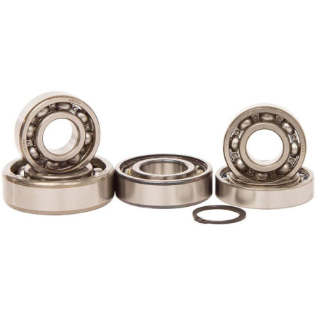 Kit rodamientos transmisión HOT RODS Suzuki RM85