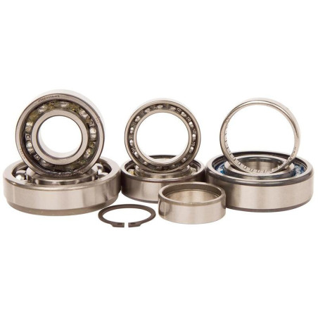 Kit rodamientos transmisión HOT RODS Suzuki RM-Z450