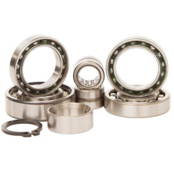 Kit rodamientos transmisión HOT RODS KTM SX65