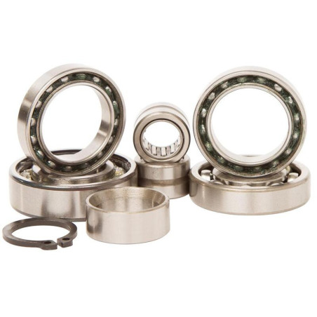 Kit rodamientos transmisión HOT RODS KTM SX65