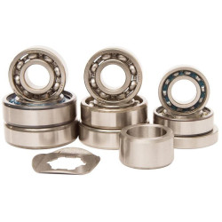 Kit rodamientos transmisión HOT RODS Yamaha YFM 350 Raptor