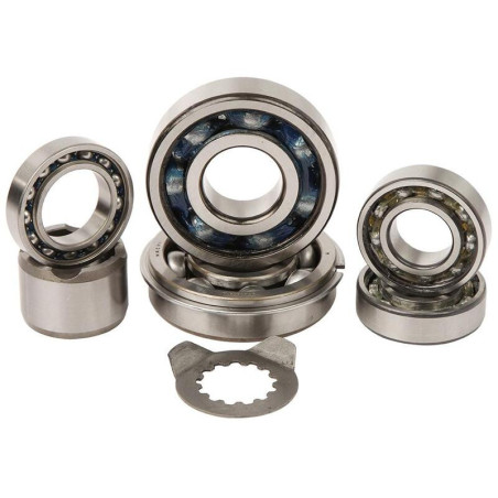 Kit rodamientos transmisión HOT RODS Yamaha YFM 660 Raptor
