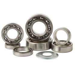 Kit rodamientos transmisión HOT RODS SX-F350