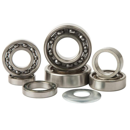 Kit rodamientos transmisión HOT RODS SX-F350