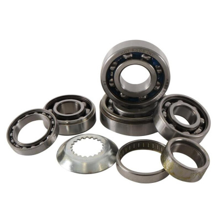 Kit rodamientos transmisión HOT RODS Kawasaki KX250F