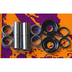 Kit de reparación de basculante PIVOT WORKS HONDA XR400 1996-03
