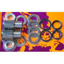 Kit de reparación de basculante PIVOT WORKS POUR KAWASAKI KX250 1996-97