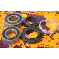 Kit de rodamientos y retenes de rueda trasera PIVOT WORKS