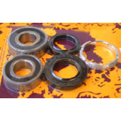 Kit de rodamientos y retenes de rueda trasera PIVOT WORKS