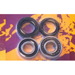 Kit de rodamientos y retenes de rueda trasera PIVOT WORKS