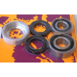 Kit de rodamientos y retenes de rueda trasera PIVOT WORKS