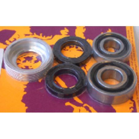 Kit de rodamientos y retenes de rueda trasera PIVOT WORKS