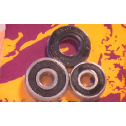 Kit de rodamientos y retenes de rueda trasera PIVOT WORKS