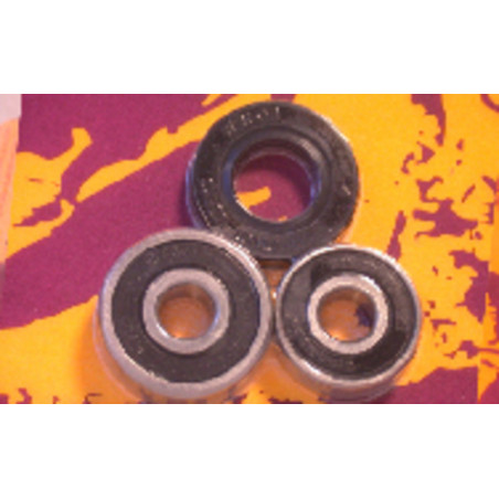 Kit de rodamientos y retenes de rueda trasera PIVOT WORKS