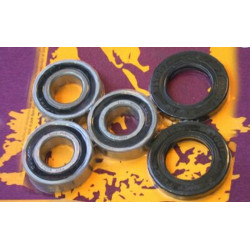 Kit de rodamientos y retenes de rueda trasera PIVOT WORKS