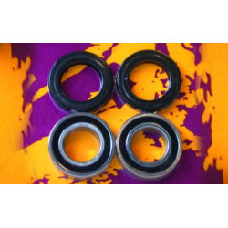 Kit de rodamientos y retenes de rueda delantera PIVOT WORKS
