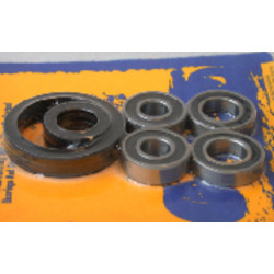 Kit de rodamientos y retenes de rueda delantera PIVOT WORKS
