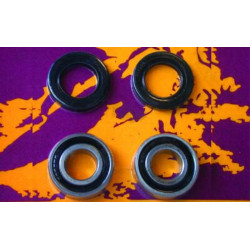 Kit de rodamientos y retenes de rueda delantera PIVOT WORKS