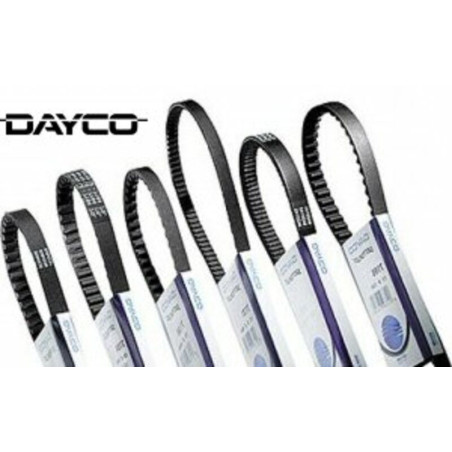Correa de transmision DAYCO standard