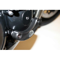 Protector de motor derecho R&G RACING