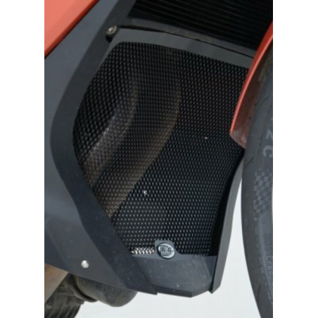 R&G RACING Aluminium Downpipe grille - BMW F800GT