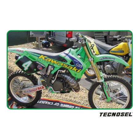 Kit adhesivos TECNOSEL Team Kawasaki 1998