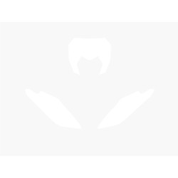 BLACKBIRD Plate Stickers White Fantic XE