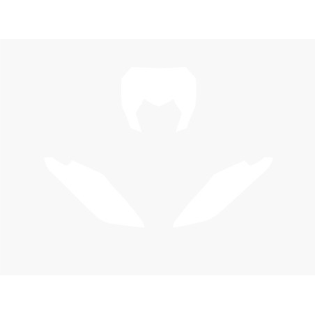BLACKBIRD Plate Stickers White Fantic XE