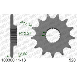 Piñón AFAM acero estándar 100300 - Paso 520 2