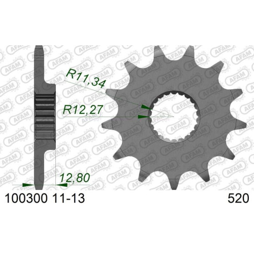 Piñón AFAM acero estándar 100300 - Paso 520