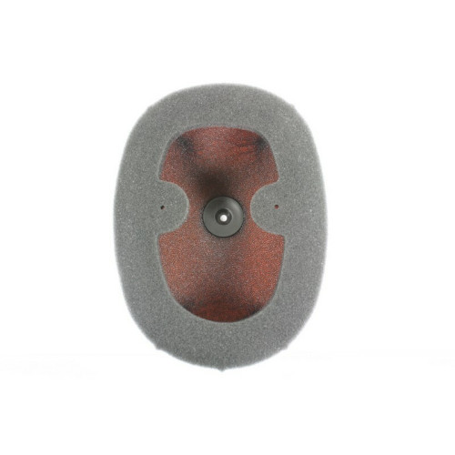 Filtro de aire TWIN AIR Honda CRF450R/RX - 150225FR