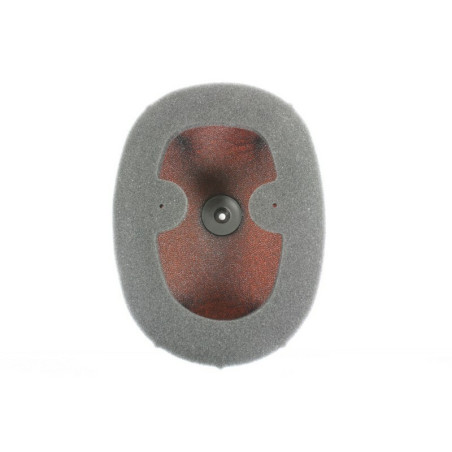 Filtro de aire TWIN AIR Honda CRF450R/RX - 150225FR