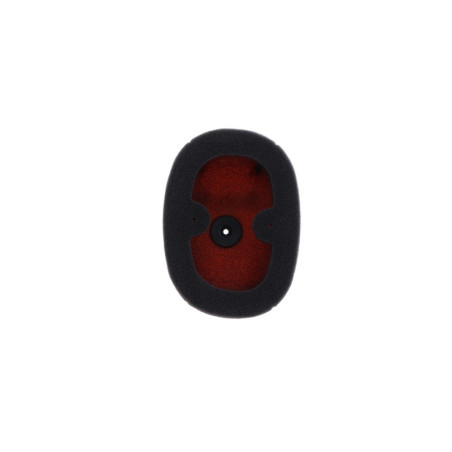 Filtro de aire TWIN AIR Honda CRF450L/X - 150227FR