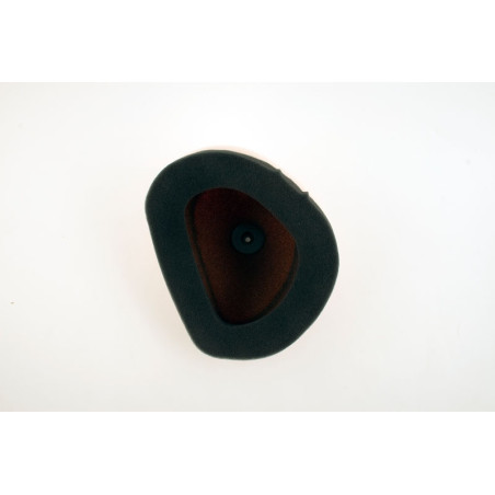 Filtro de aire TWIN AIR Kit Kawasaki KXF250/450 - 151119FRKIT