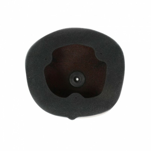 Filtro de aire TWIN AIR Yamaha YZ450F - 152222FR